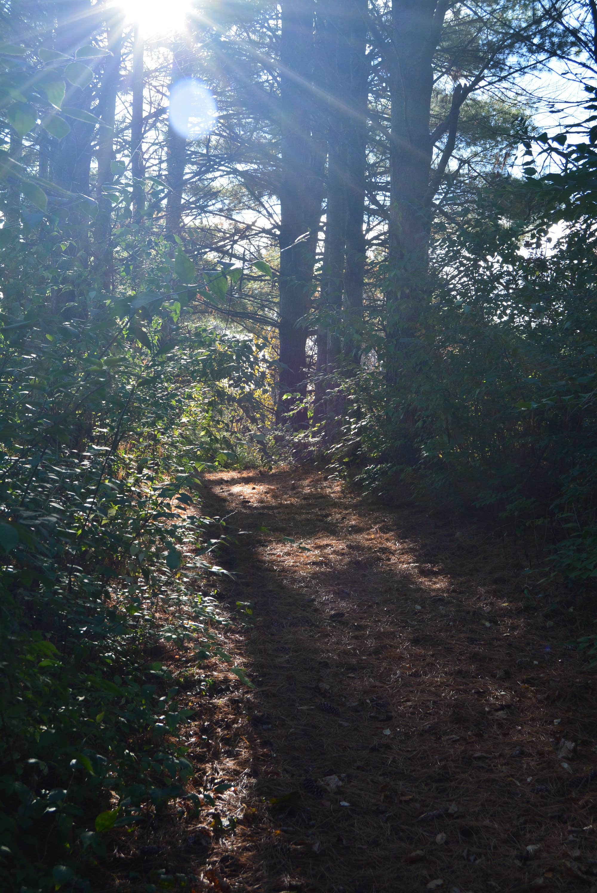 Camper submitted image from Park Terrace Campground - West Lake Park - 4