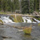 Review photo of South Campground - Hosmer Lake (OR) by Patti S., June 26, 2020