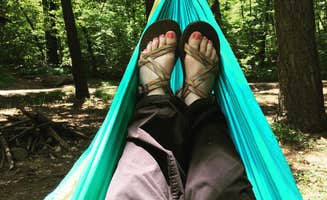 Beth B.'s photo at Chilhowee Recreation Area near Cleveland, TN