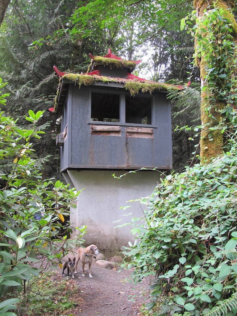 Patti S.'s photo of a cabin at Belknap Hot Springs Lodge and Gardens near Terrebonne, OR