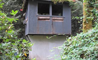 Patti S.'s photo of a cabin at Belknap Hot Springs Lodge and Gardens in Oregon
