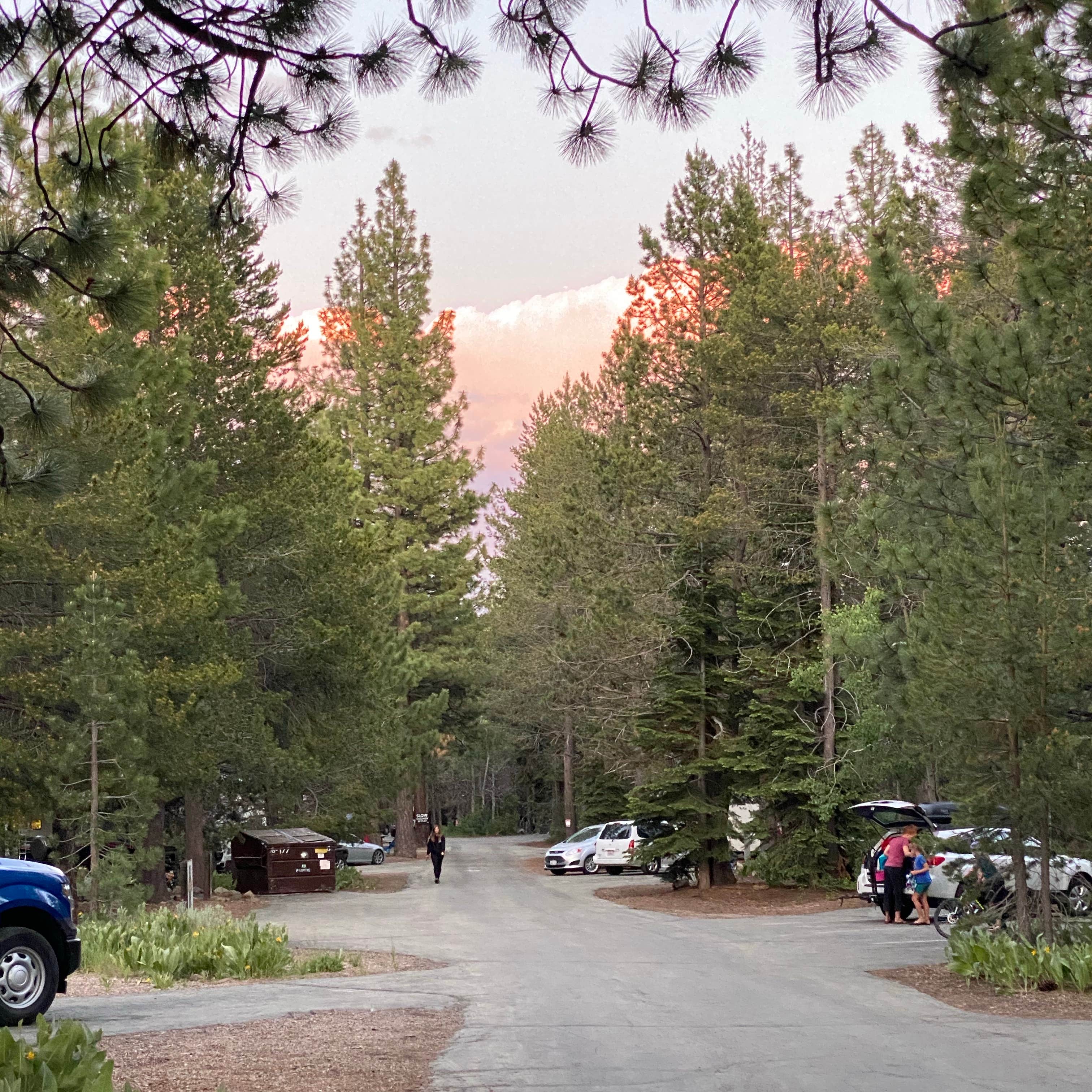 Tahoe Donner Campground Camping | The Dyrt