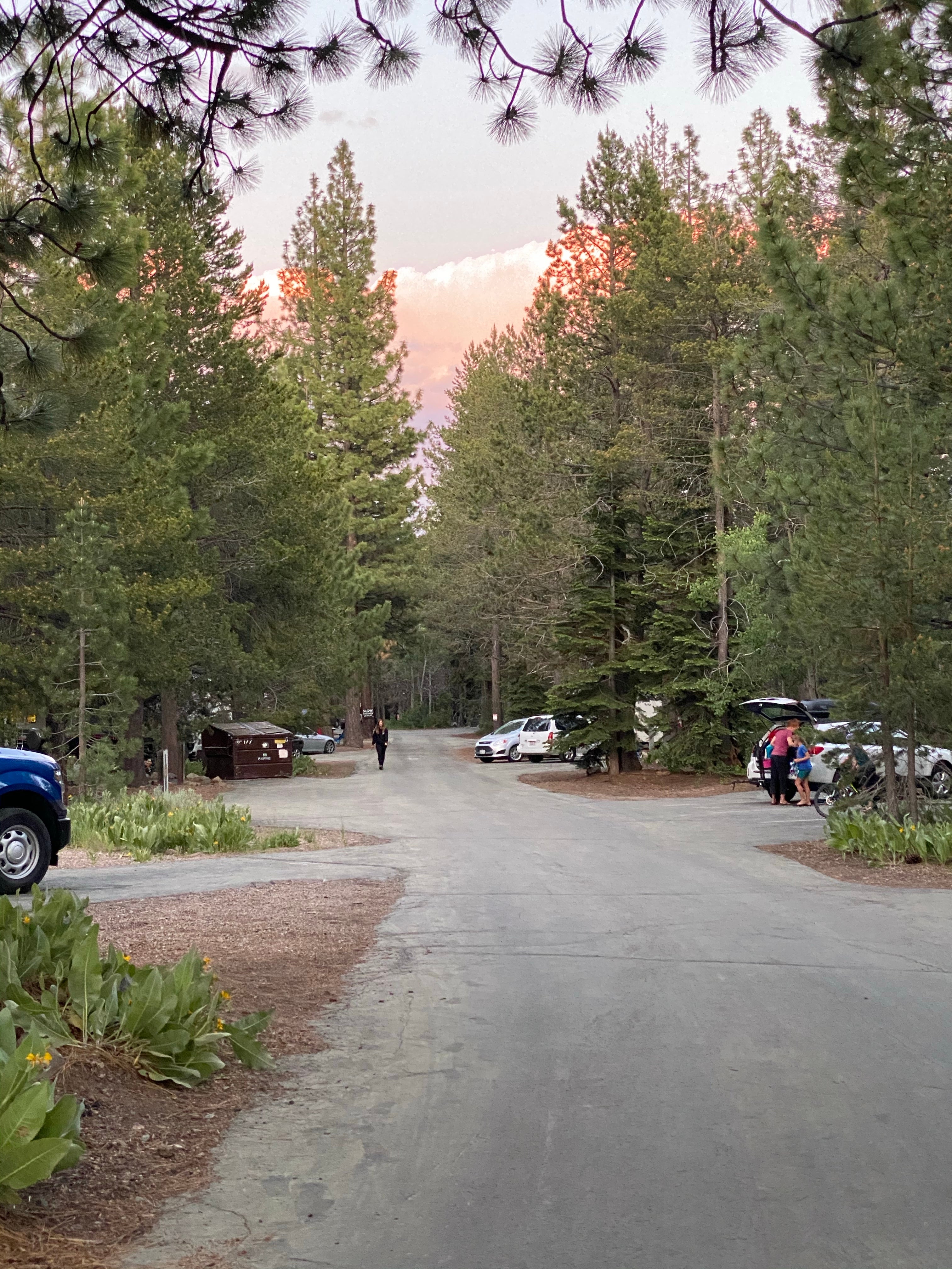 Camper submitted image from Tahoe Donner Campground - 3