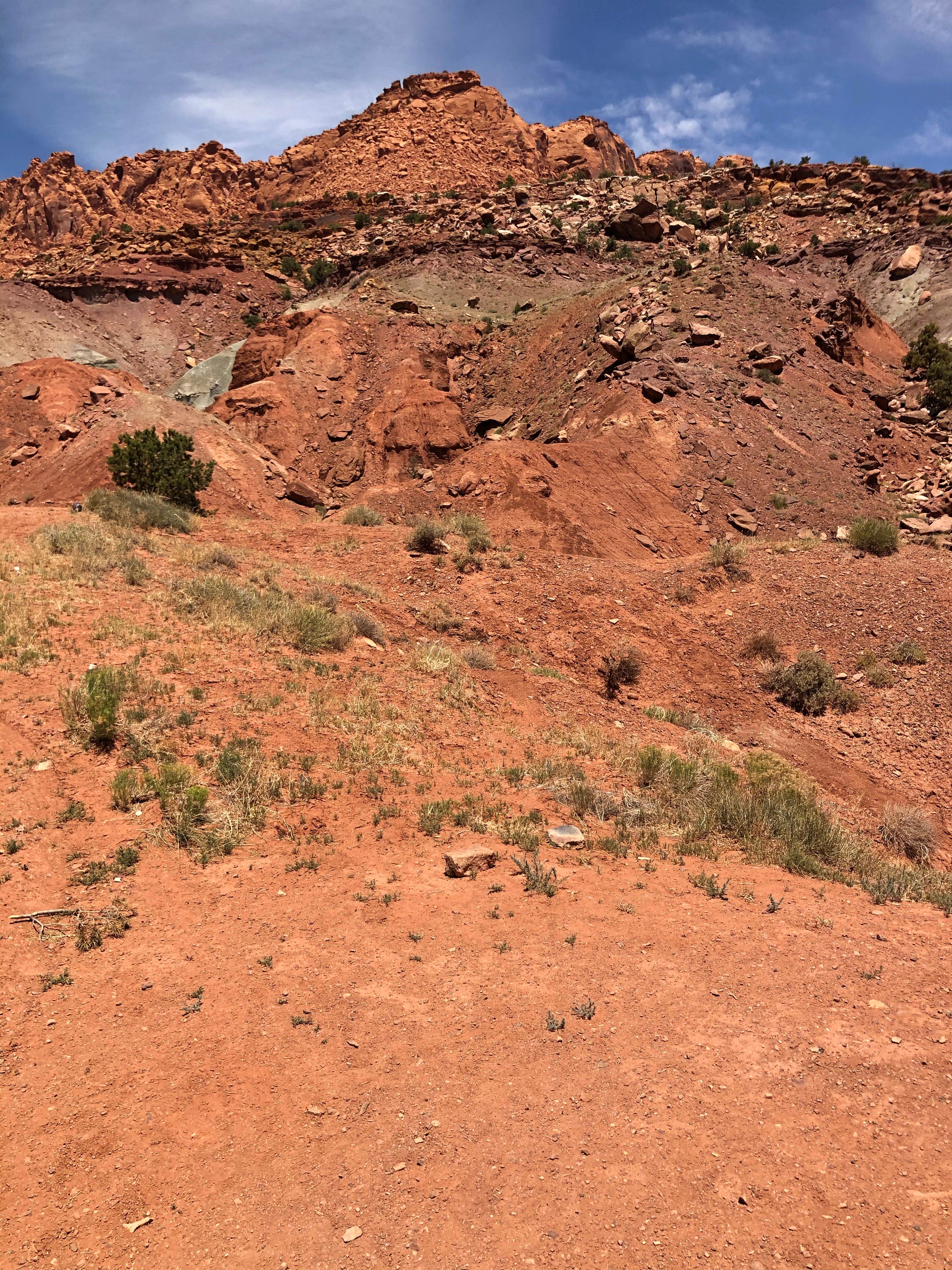 Camper-submitted photo at Route 24 Dispersed Camping - Capitol Reef near Capitol Reef National Park