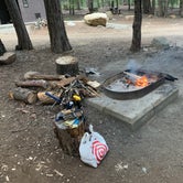 Review photo of Shake Camp - State Forest by Vicky  D., June 26, 2020