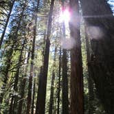 Review photo of Blue Pool — Willamette National Forest by Patti S., June 26, 2020