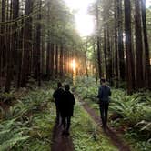 Review photo of Siuslaw National Forest Dispersed Camping by Gene J., June 26, 2020