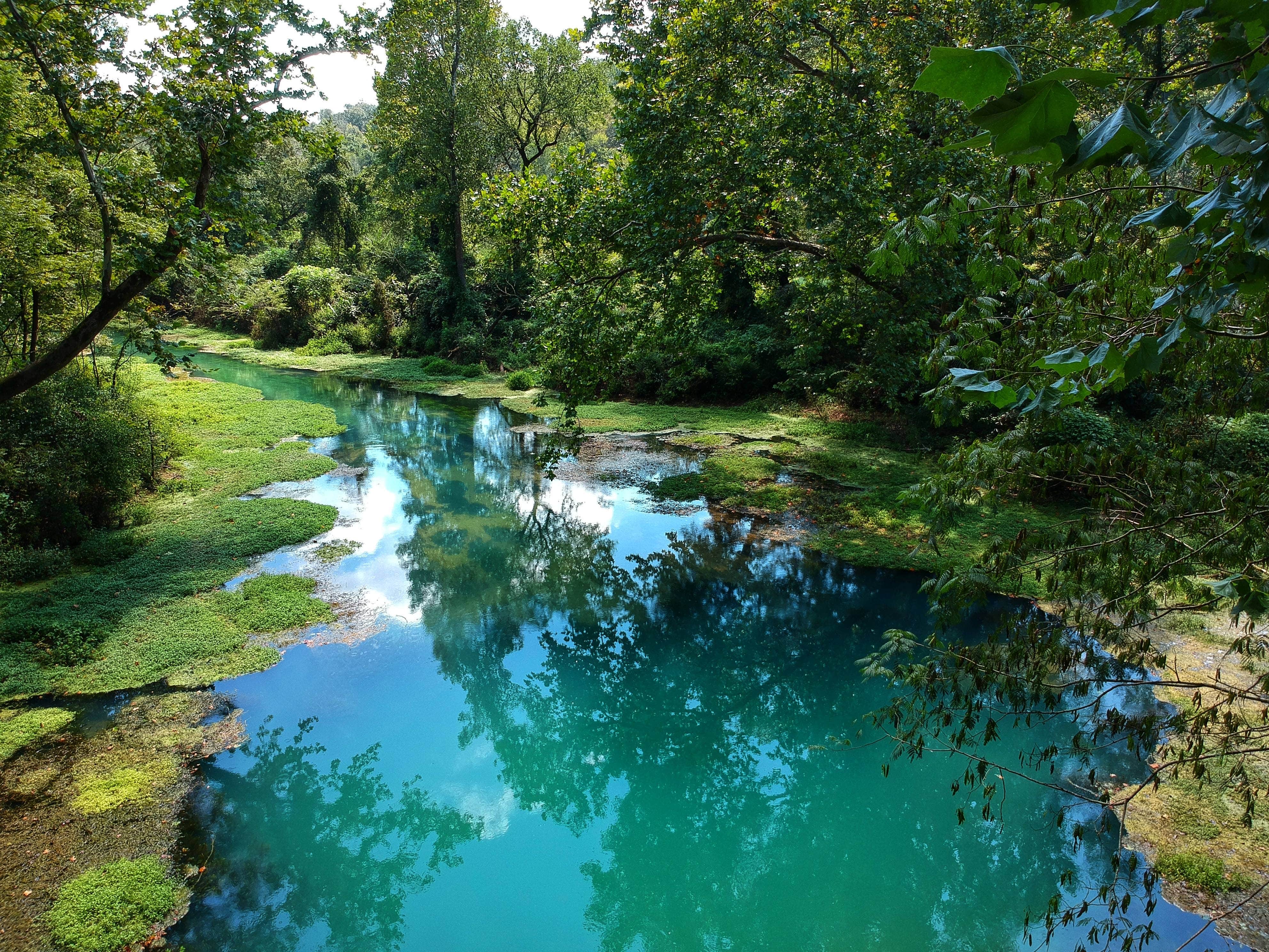 Camper-submitted photo at Boze Mill Float Camp in Missouri