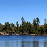 Review photo of Black Canyon Rim Campground (apache-sitgreaves National Forest, Az) by Sara S., June 26, 2020