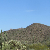 Review photo of Twin Peaks Campground — Organ Pipe Cactus National Monument by Sara S., June 26, 2020