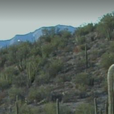 Review photo of Twin Peaks Campground — Organ Pipe Cactus National Monument by Sara S., June 26, 2020