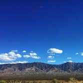 Review photo of Twin Peaks Campground — Organ Pipe Cactus National Monument by Sara S., June 26, 2020