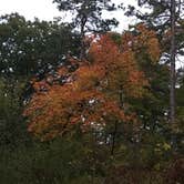 Review photo of D.H. Day Campground — Sleeping Bear Dunes National Lakeshore by Kathie M., June 19, 2020