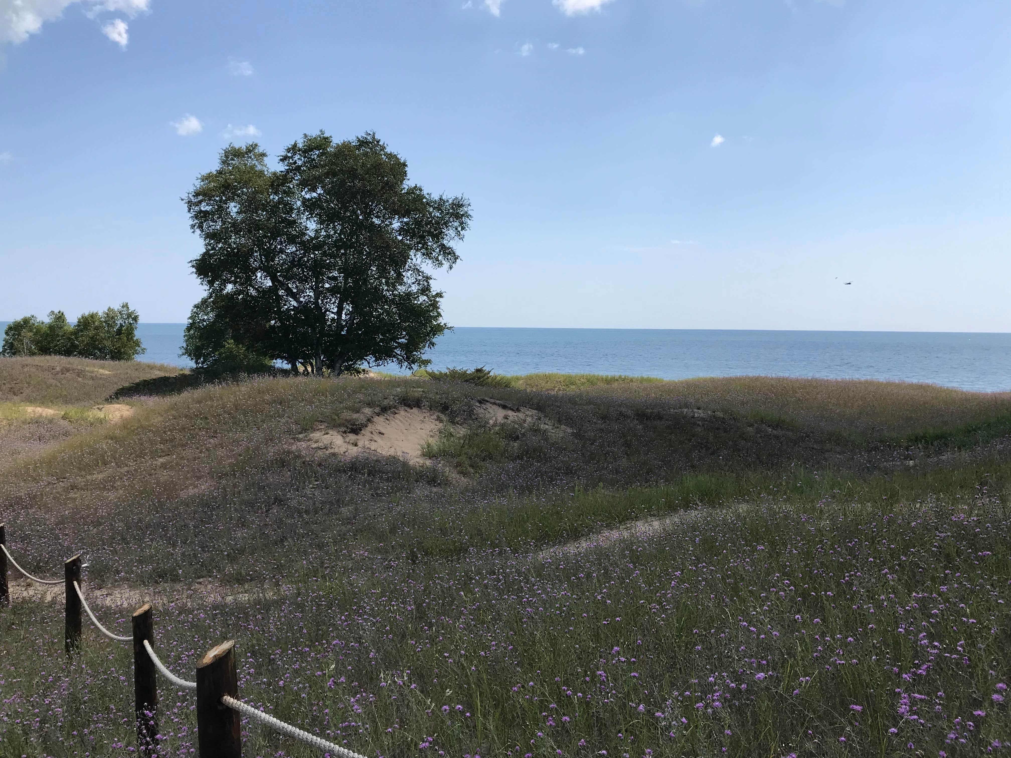 Camper-submitted photo at Kohler-Andrae State Park near Malone, WI