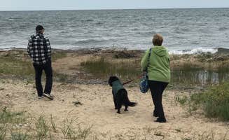 Kathie M.'s photo of camping with pets at Harrisville State Park Campground near Oscoda, MI