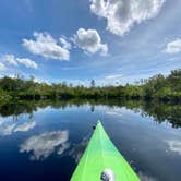 Review photo of Lake Griffin State Park Campground by Jennifer L., June 25, 2020