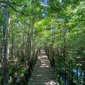 Review photo of Suwannee River Hideaway Campground by Jennifer L., June 27, 2020