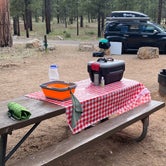 Review photo of Ten-X Campground — Grand Canyon National Park by Gary M., June 27, 2020
