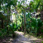 Review photo of Highlands Hammock State Park Campground by Jennifer L., December 10, 2019