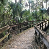 Review photo of Highlands Hammock State Park Campground by Jennifer L., December 10, 2019
