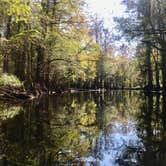 Review photo of Highlands Hammock State Park by Jennifer L., December 10, 2019