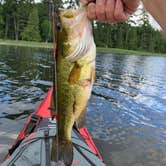 Review photo of Scenic State Park Campground by Scott M., June 27, 2020