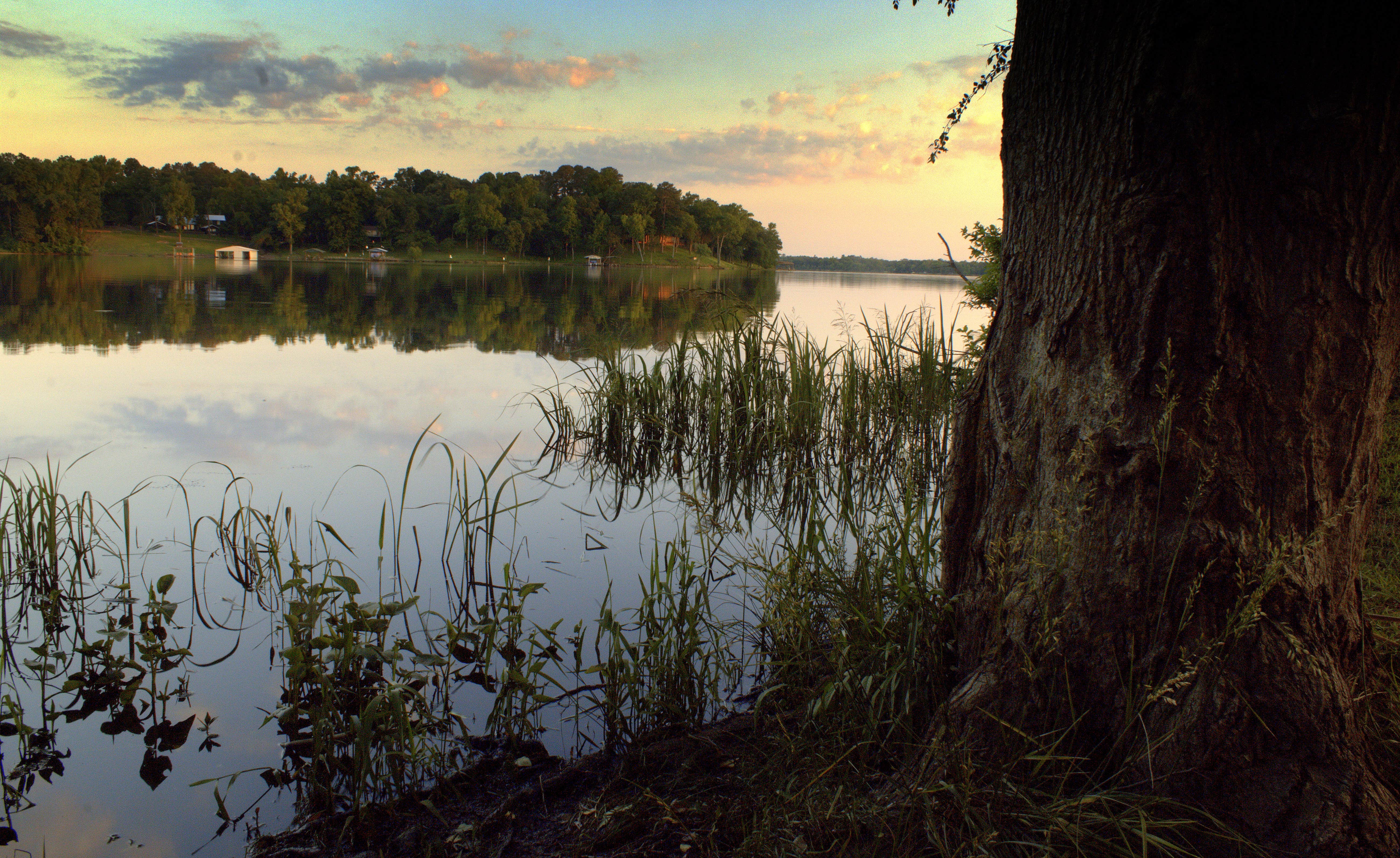 Camper submitted image from Winnsboro City RV Park - 3