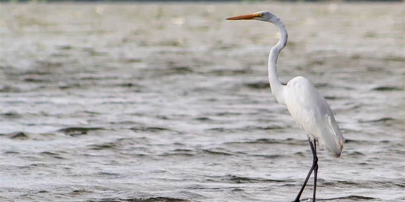 Camper submitted image from Winnsboro City RV Park