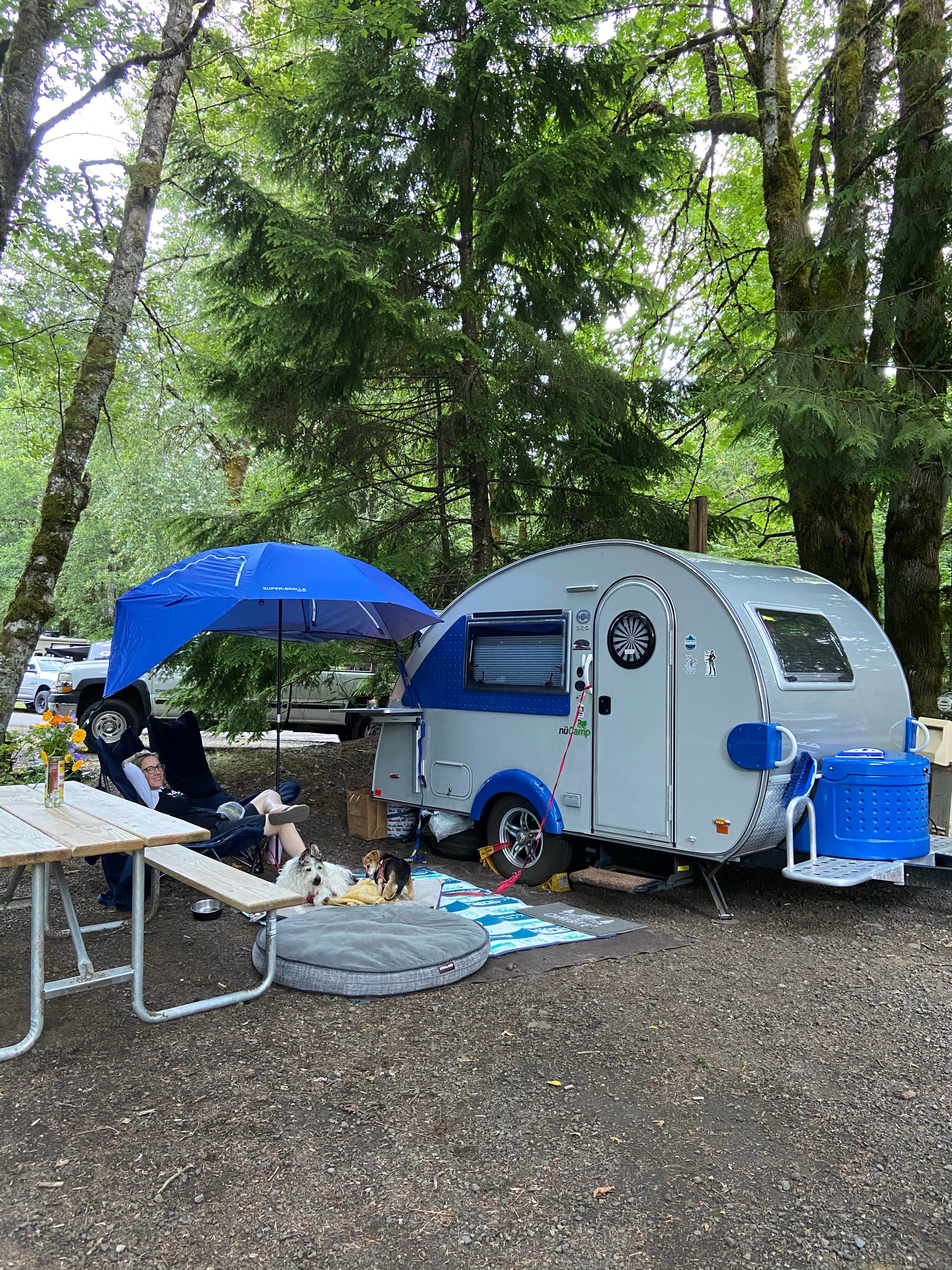 Vivi W.'s photo of rv camping at Mt Hood Village Resort near Government Camp, OR