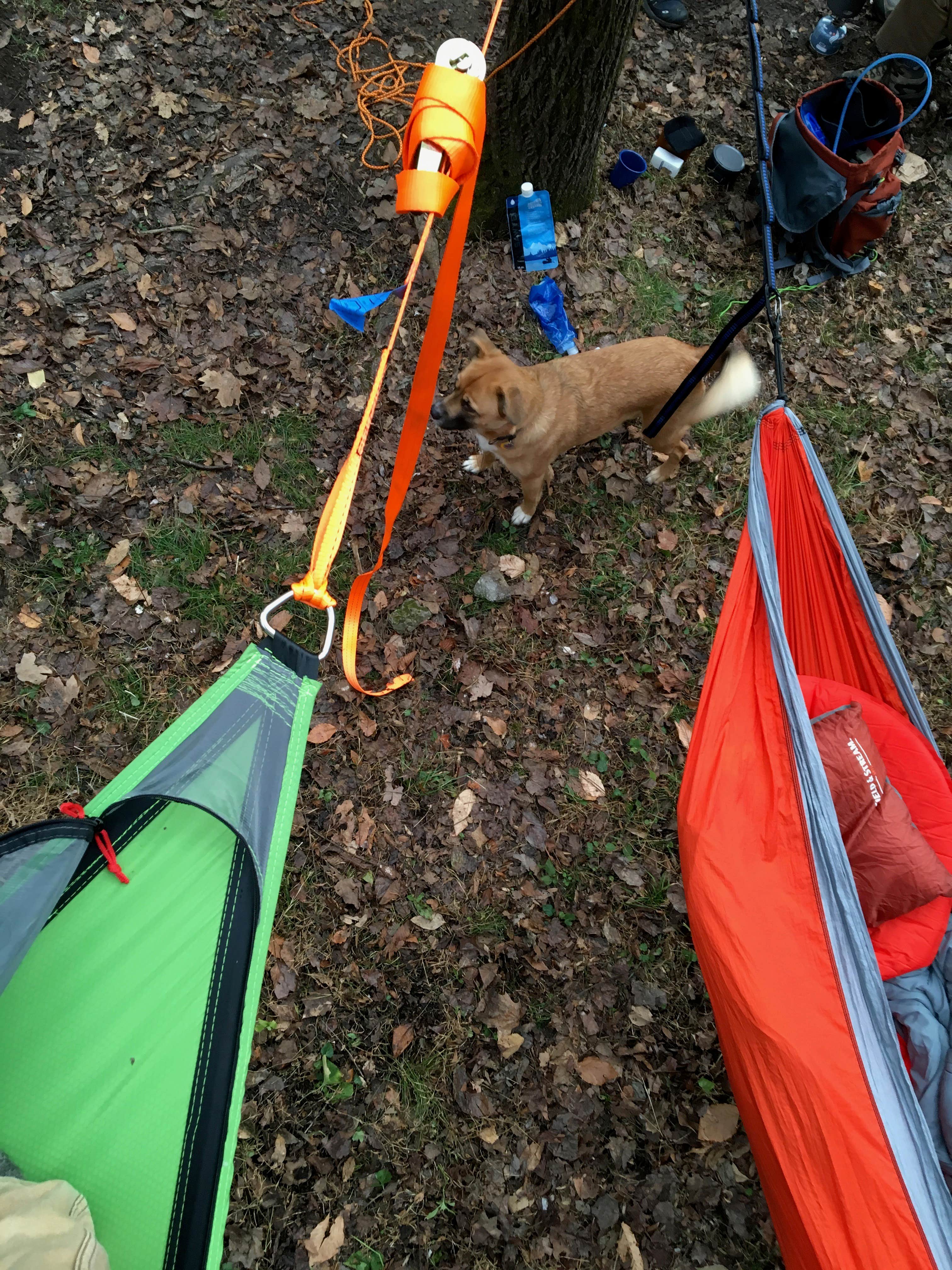 Ethan K.'s photo of camping with pets at Walls of Jericho - Clark Cemetery Backcountry Campsite near Lynchburg, Moore County, TN
