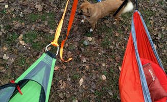 Ethan K.'s photo of camping with pets at Walls of Jericho - Clark Cemetery Backcountry Campsite near Normal, AL