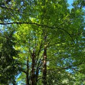 Review photo of Mt Hood Village Resort by Vivi W., June 27, 2020