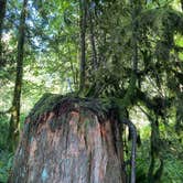 Review photo of Mt Hood Village Resort by Vivi W., June 27, 2020