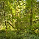 Review photo of Mt Hood Village Resort by Vivi W., June 27, 2020