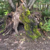 Review photo of Mt Hood Village Resort by Vivi W., June 27, 2020