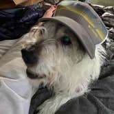 Review photo of Mt Hood Village Resort by Vivi W., June 27, 2020