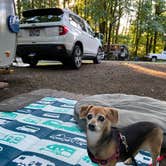 Review photo of Mt Hood Village Resort by Vivi W., June 27, 2020