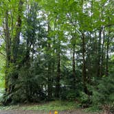 Review photo of Mt Hood Village Resort by Vivi W., June 27, 2020