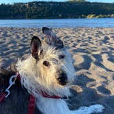 Review photo of Mt Hood Village Resort by Vivi W., June 27, 2020