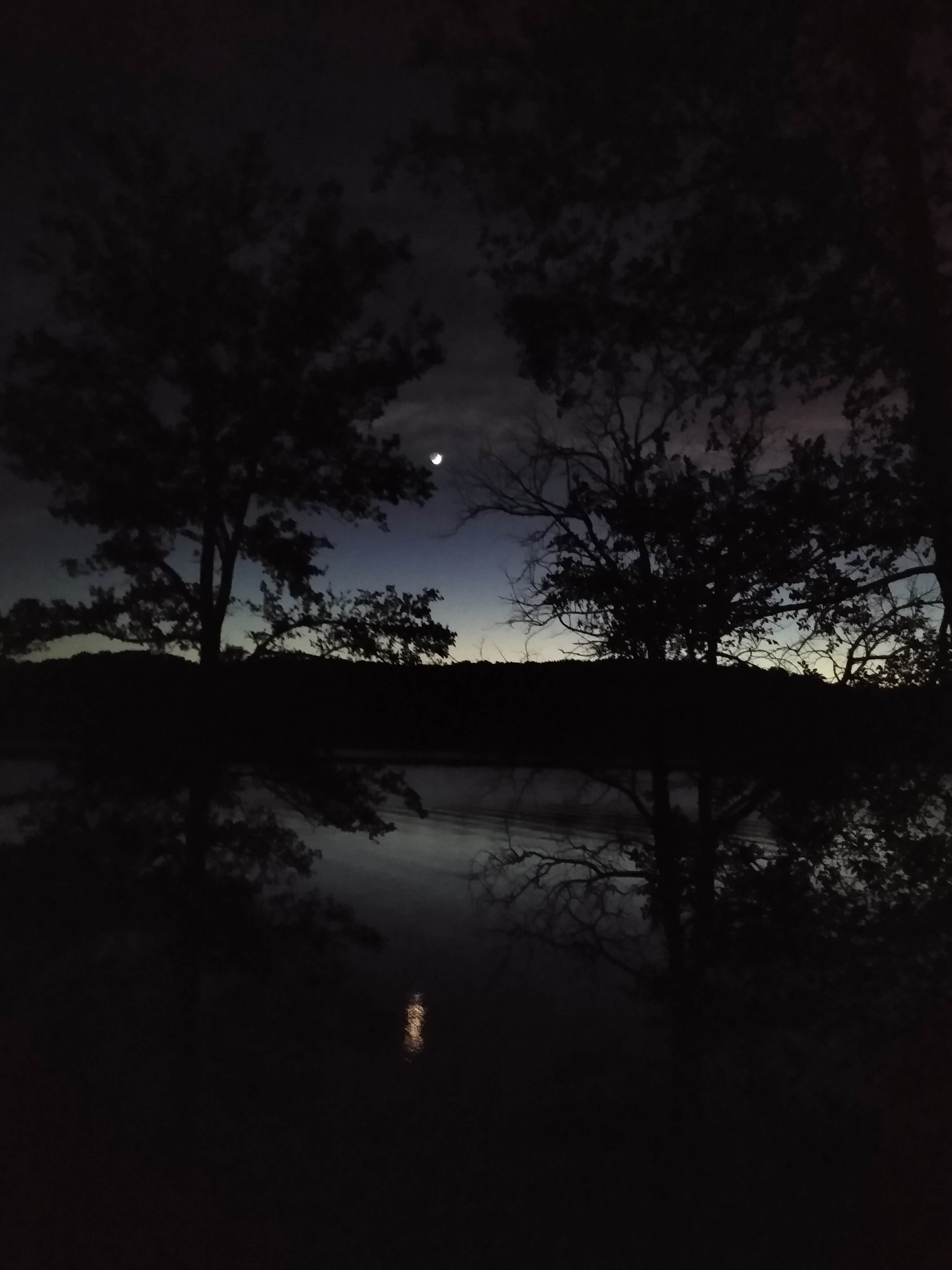 Camper submitted image from Petit Bay - Tenkiller Ferry Lake - 2