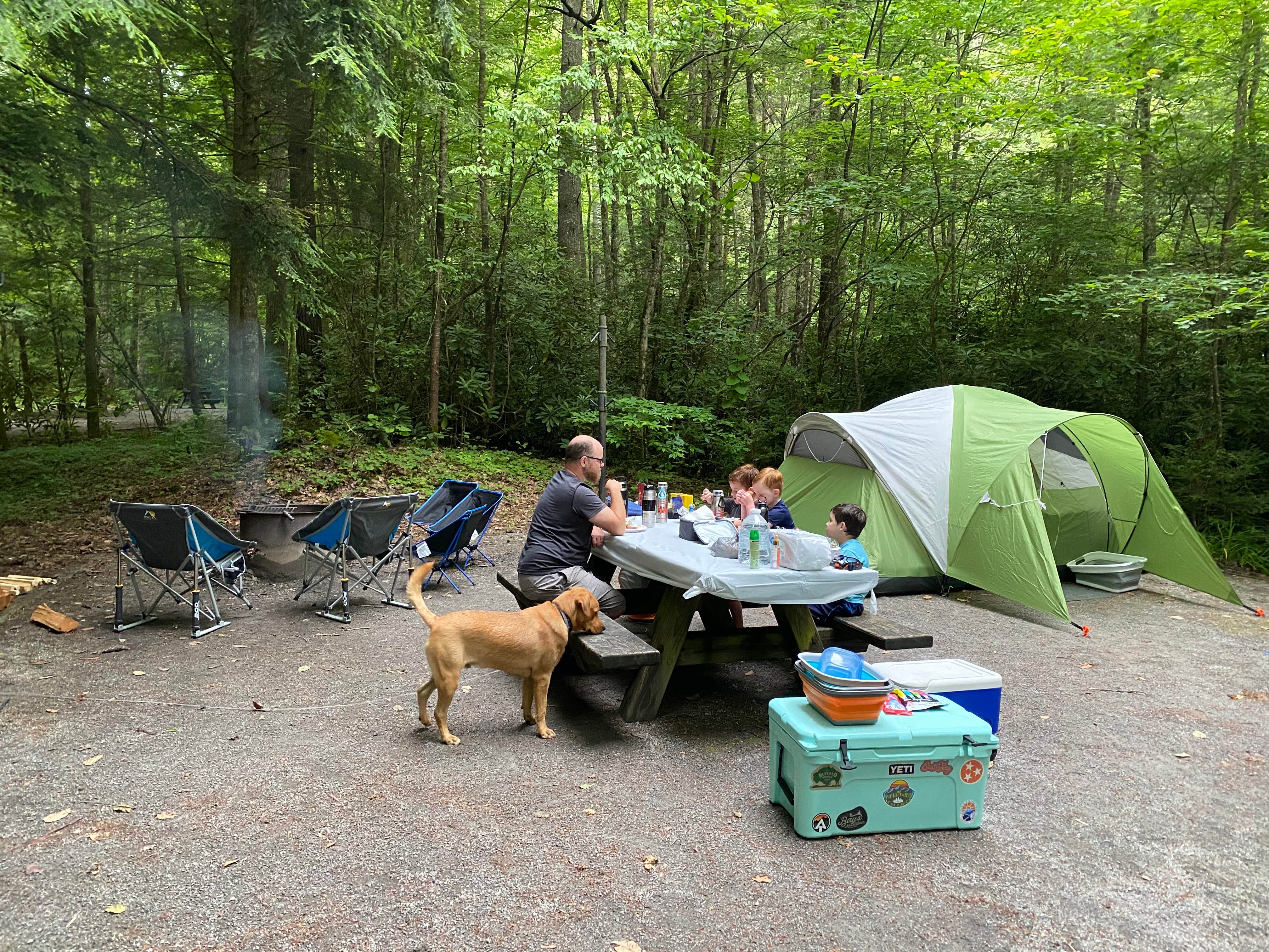Camper submitted image from Backbone Rock Recreation Area Pavilions and Campground - 4