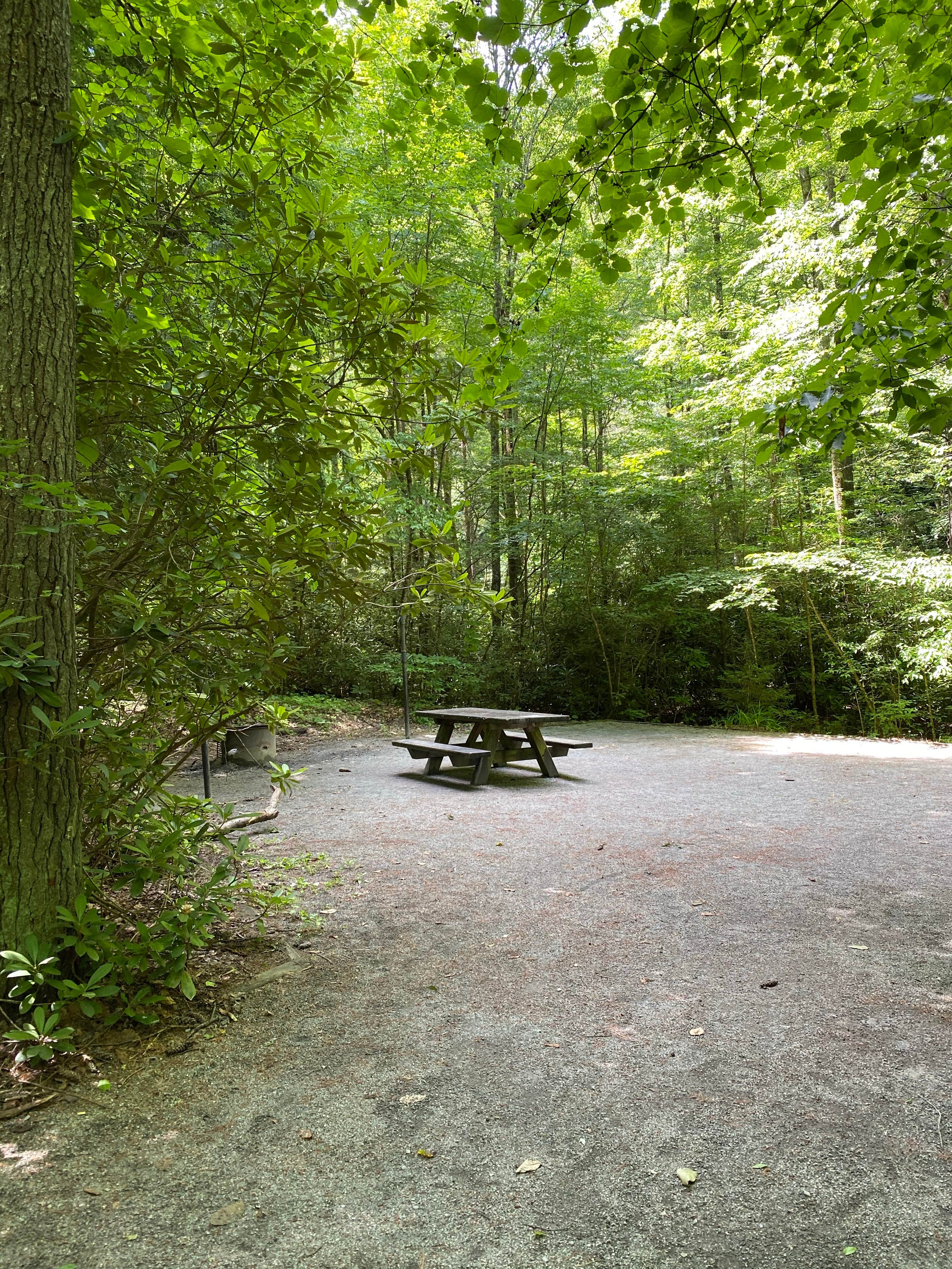 Camper submitted image from Backbone Rock Recreation Area Pavilions and Campground - 3