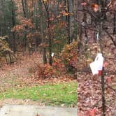 Review photo of Cowans Gap State Park Campground by Shelly S., November 1, 2017