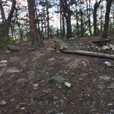 Review photo of Pinhoti Trail Backcountry after passing McDill Point — Cheaha State Park by Ethan K., November 1, 2017