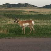 Review photo of Sage Creek Campground by Daniel S., November 1, 2017
