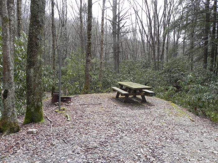 Camper submitted image from Jefferson National Forest Beartree Campground - 3
