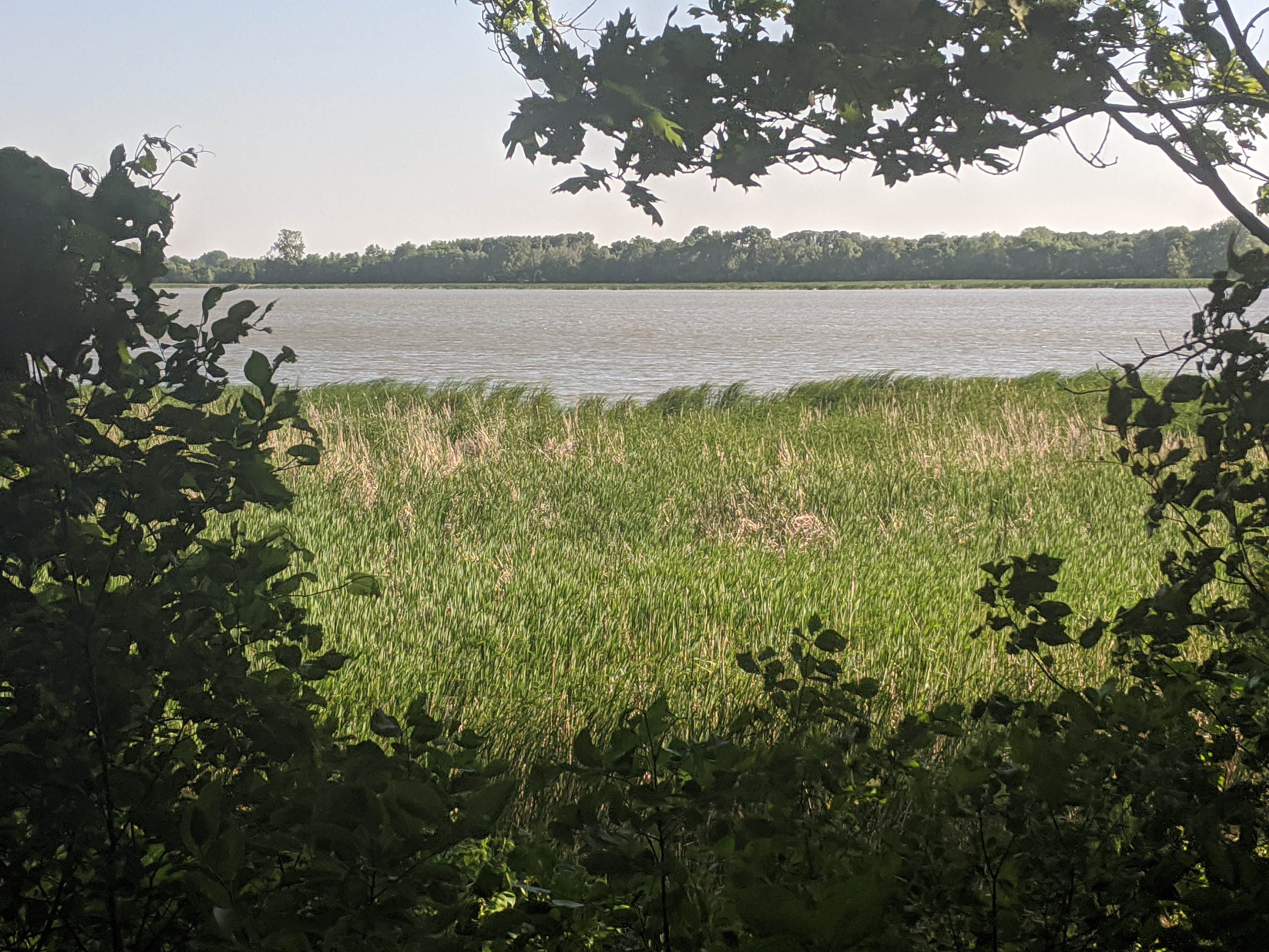 Camper-submitted photo at Rice Lake Campground — Rice Lake State Park near Plainview, MN