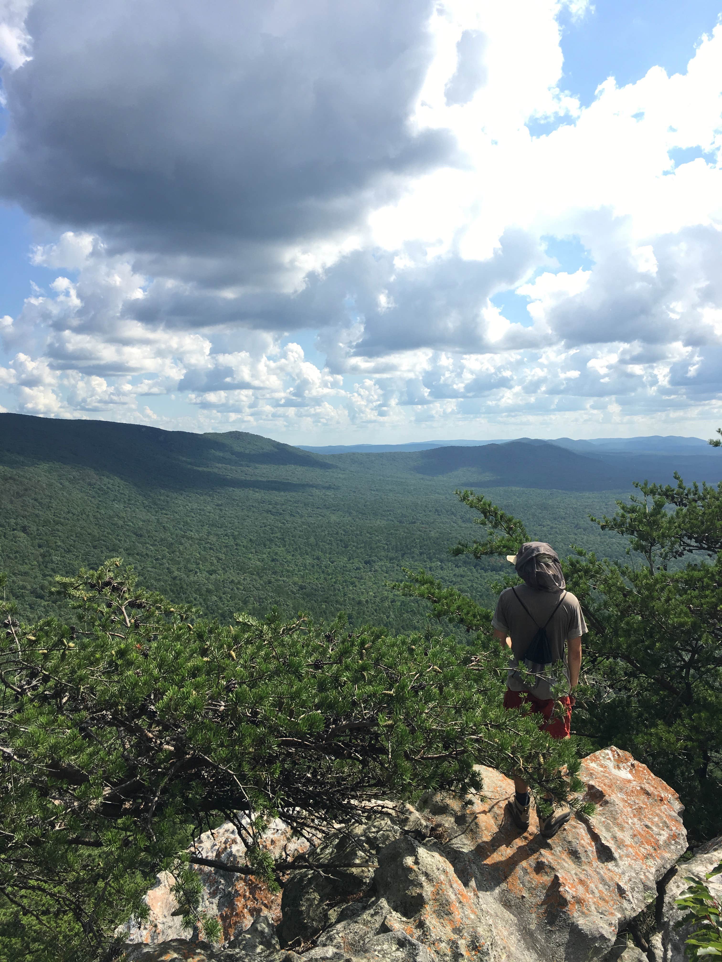 Camper submitted image from McDill Point Backcountry — Cheaha State Park - 5