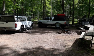 Camping near Bear Paw Resort and Campground: Sawmill campground , Stone Lake, Wisconsin