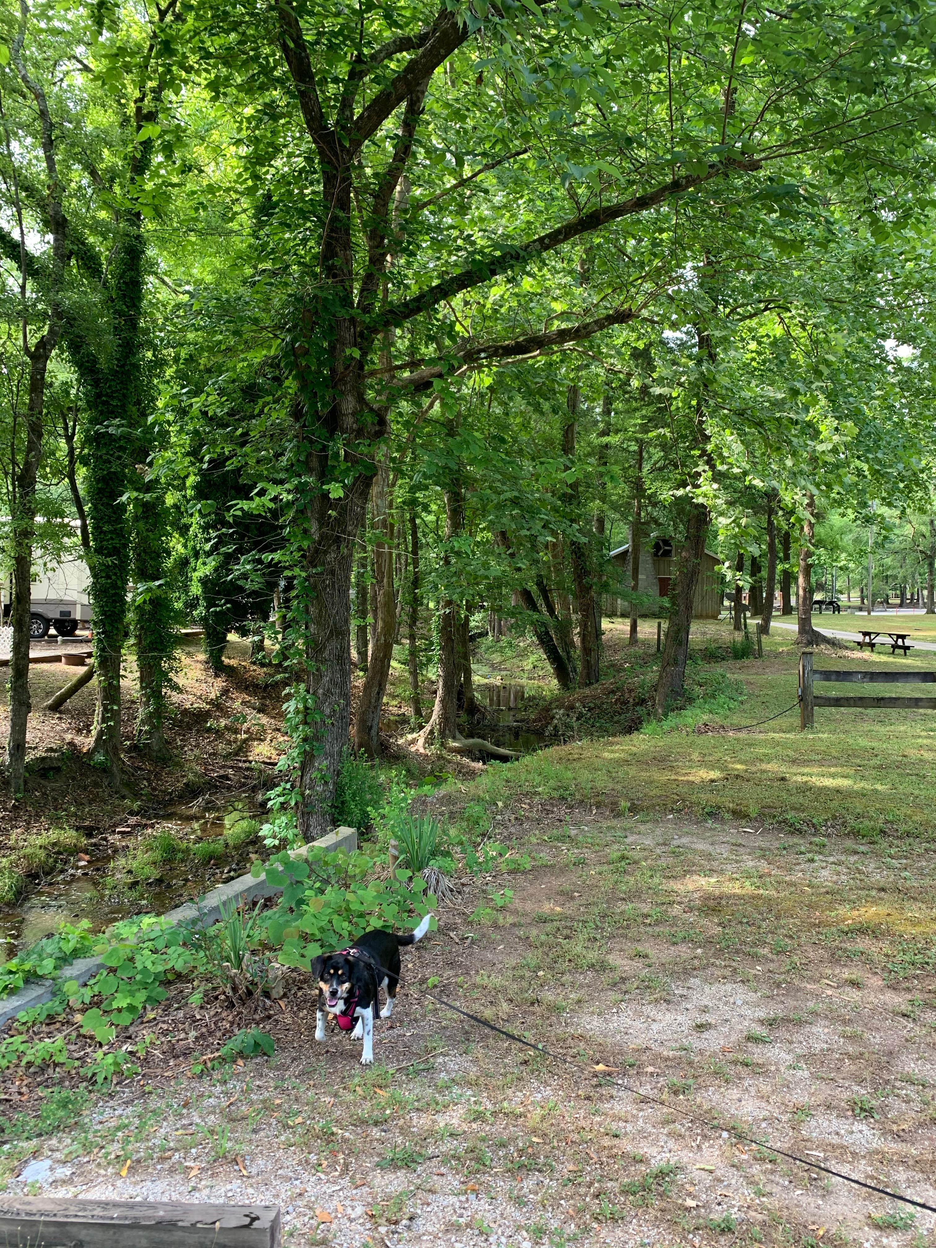 Camper-submitted photo at Brierfield Ironworks Historical Park near Brent, AL